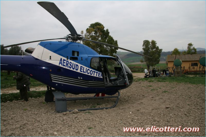 elifoto (110)